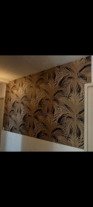 Photo de galerie - Un petit changement  