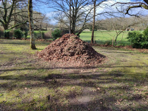Photo de galerie - Évacuation déchets - Gravats