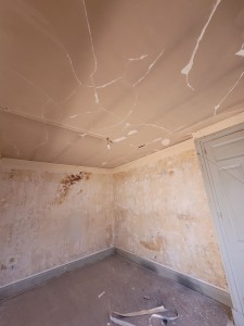 Photo de galerie - Peinture - Tapisserie