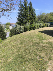 Photo de galerie - Désherbage 