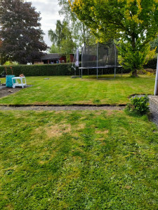 Photo de galerie - Tonte de pelouse - Débroussaillage