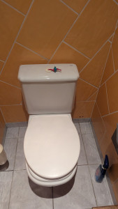 Photo de galerie - WC a remplaçer