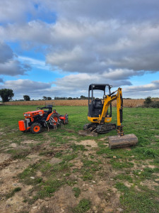 Photo de galerie - Mini pelle 