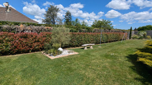 Photo de galerie - Mise au propre d'un jardin .