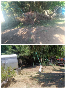 Photo de galerie - Tonte de pelouse - Débroussaillage