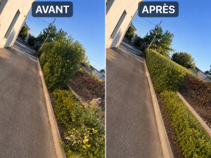 Photo de galerie - Taille de haie 