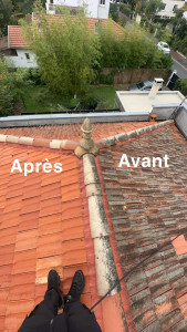 Photo de galerie - Entretien et nettoyage toiture 