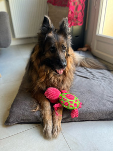 Photo de galerie - Levana