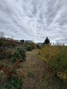 Photo de galerie - Remise en état 