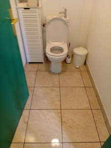 Photo de galerie - Nettoyage sanitaire