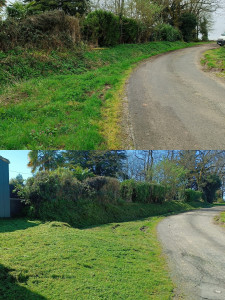 Photo de galerie - Débroussaillage 