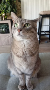 Photo de galerie - Nouk