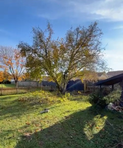 Photo de galerie - Elagage et coupe d'arbres
