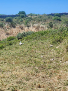 Photo de galerie - Jardinier