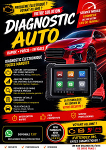 Photo de galerie - Diagnostique auto 30€