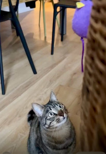 Photo de galerie - Visite au domicile de Plume