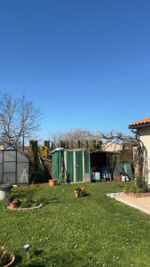 Photo de galerie - Abattage terminé 