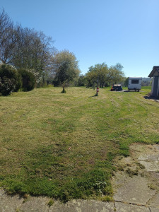 Photo de galerie - Tonte taille haie 