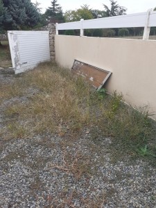 Photo de galerie - Tonte de pelouse - Débroussaillage