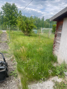 Photo de galerie - Tonte de pelouse - Débroussaillage