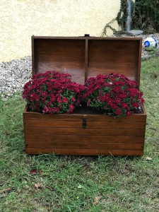 Photo de galerie - Paysagiste - Aménagement du jardin