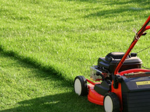 Photo de galerie - Tonte de pelouse - Débroussaillage