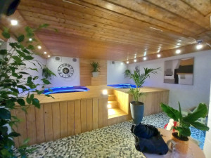 Photo de galerie - Espace jaccuzi 