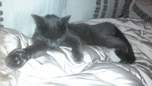 Photo de galerie - La petite chouchou que je garde tous les ans ♡
