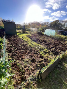 Photo de galerie - Paysagiste - Aménagement du jardin