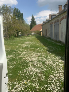 Photo de galerie - Tonte de pelouse - Débroussaillage