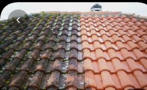 Photo de galerie - Nettoyage demoussage d'une toiture