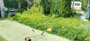 Photo de galerie - Débroussaillage, haute herbe avec lame , ou Tonte . pelouse haute herbe haies
