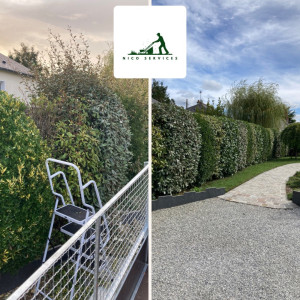 Photo de galerie - Taille de haies et d'arbustes