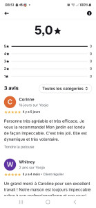 Photo de galerie - Tonte pelouse et débroussaillage