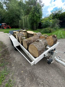 Photo de galerie - Abatage et découpe pour bois de chauffage 
