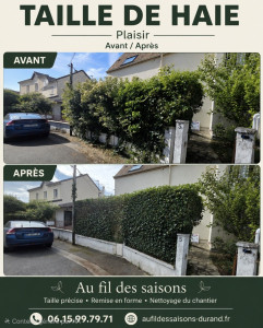Photo de galerie - Taille de haies et d'arbustes