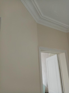 Photo de galerie - PEINTURE ET REPEINDRE