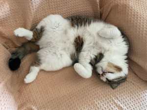 Photo de galerie - .