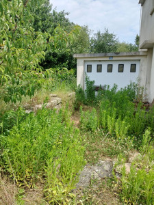 Photo de galerie - Tonte de pelouse - Débroussaillage