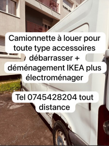 Photo de galerie - Déménageur 