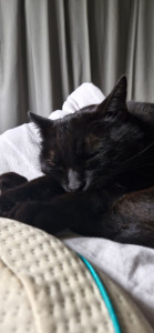 Photo de galerie - Mr Krokmou âgé de 5 ans