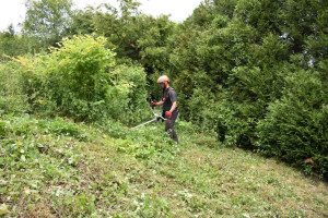 Photo de galerie - Débroussaillage