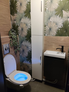 Photo de galerie - Pose sanitaire 