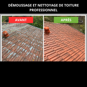 Photo de galerie - Nettoyage et démoussage de toiture produit professionnel meilleure garantie d'efficacité pro