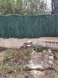 Photo de galerie - Abattage 