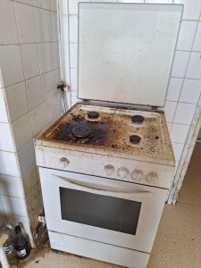 Photo de galerie - Aide à domicile 