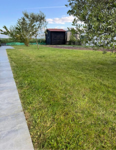 Photo de galerie - Tonte de pelouse - Débroussaillage