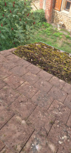 Photo de galerie - Charpente