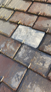 Photo de galerie - Couverture - Toiture