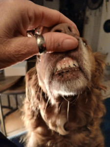 Photo de galerie - On rigole!!!!